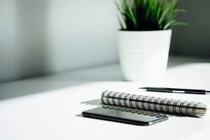 A high level internal renovation budget