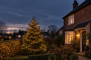 Best Outdoor Christmas Lights for Trees and Hedges UK